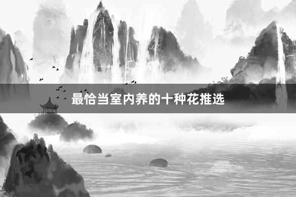 最恰当室内养的十种花推选